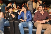Celebs at Akhil Movie Audio Launch